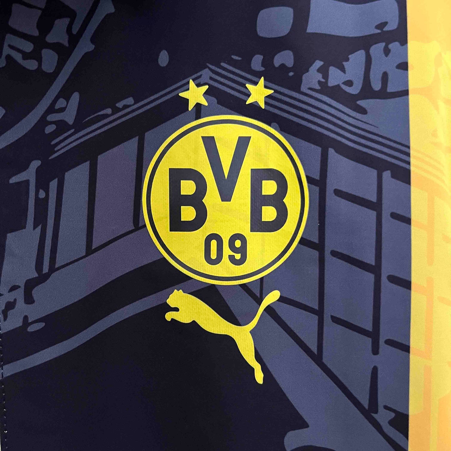 Borussia Dortmund Double-Sides Jacket